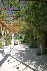 Trellis near pool